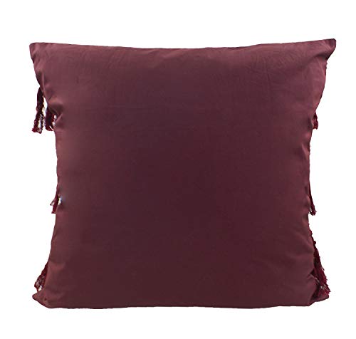 Fennco Styles Stylish Fringe Tassels Decorative Cotton Throw Pillow