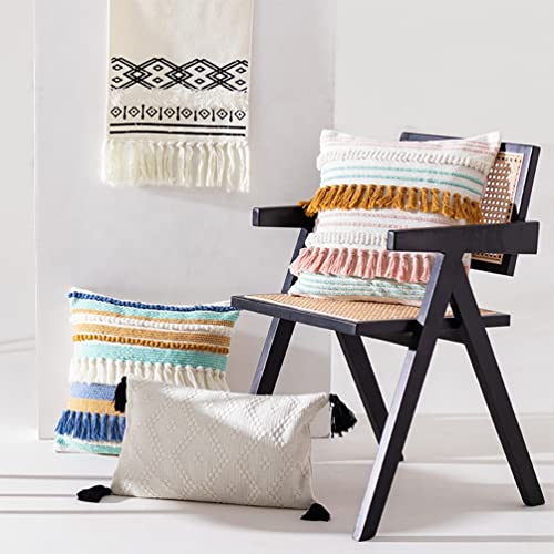 Fennco Styles Woven Tassel Striped Decorative Throw Pillow 18" W x 18" L - Textured Boho Cushion for Home, Couch, Living Room, Bedroom and Office Décor